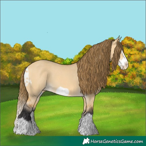 Horse Color:Buckskin Dun Splash Frame Skewed LP Spotted 