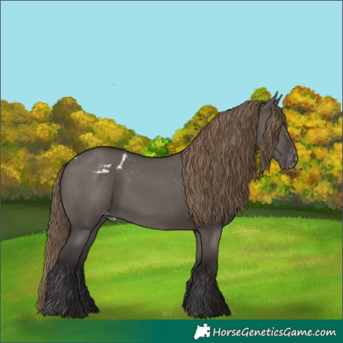 Horse Color:Smoky Grullo Skewed LP Spotted