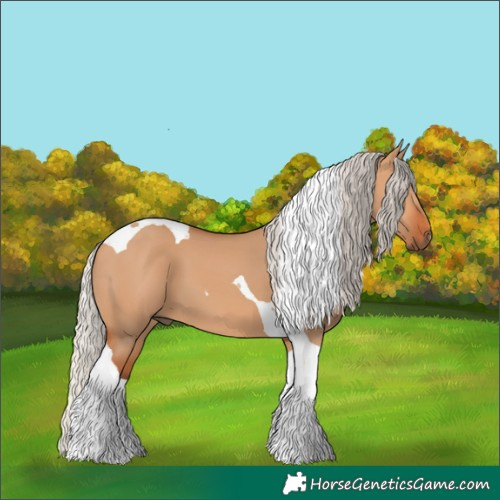 Horse Color:Silver Bay Dun Tobiano 