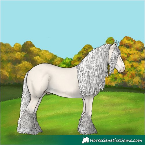 Horse Color:Silver Perlino Dun