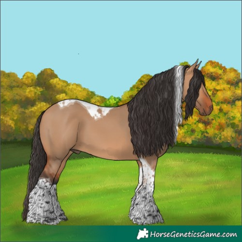 Horse Color:Bay Dun Tobiano 