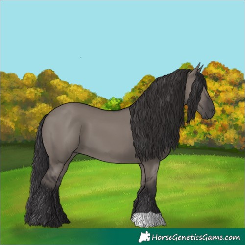 Horse Color:Smoky Grullo