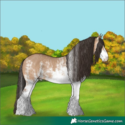 Horse Color:White Spotted Bay Dun