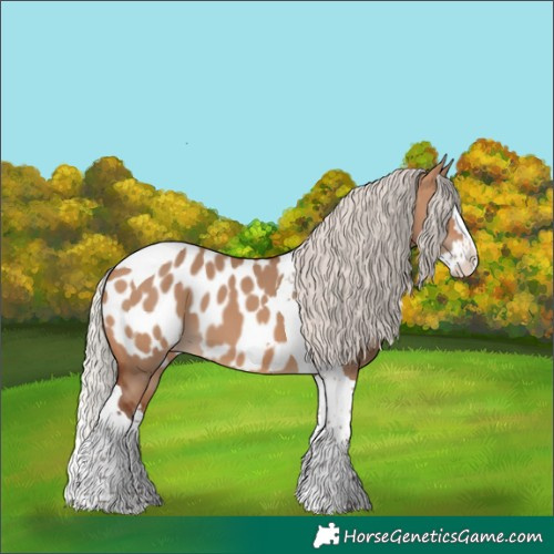 Horse Color:Silver Brown Dun Splash Tobiano Near Leopard