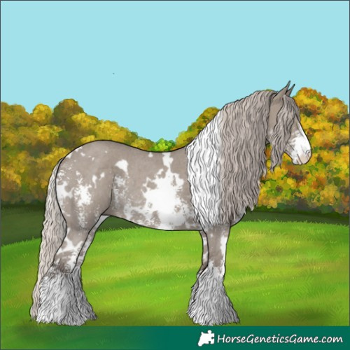 Horse Color:White Spotted Silver Grullo Sabino Rabicano