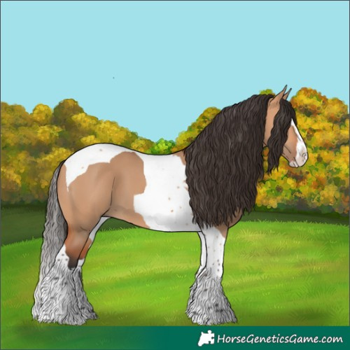 Horse Color:Bay Dun Splash Tobiano