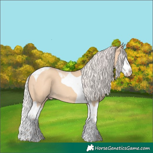 Horse Color:Silver Amber Champagne Dun Splash Tobiano 