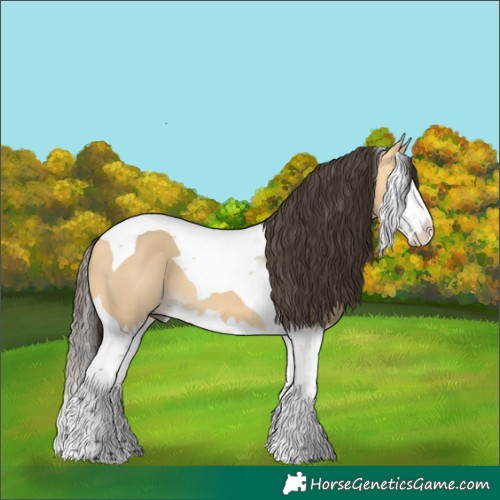 Horse Color:Buckskin Dun Splash Tobiano 