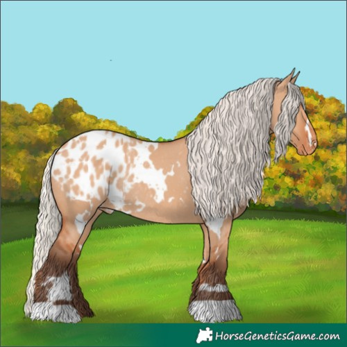 Horse Color:White Spotted Silver Bay Dun Blanket Rabicano