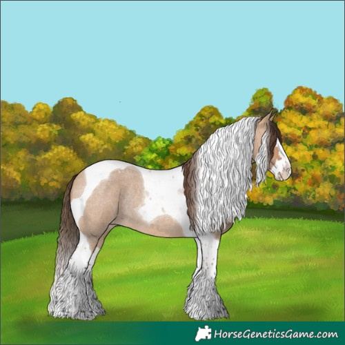 Horse Color:Bay Roan Dun Splash Tobiano Appaloosa Rabicano 