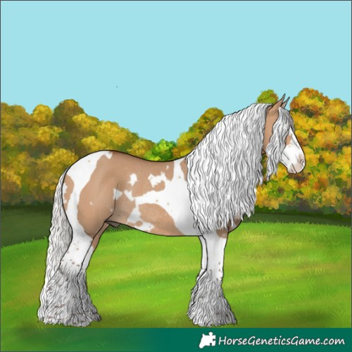 Horse Color:White Spotted Silver Bay Dun Splash Tobiano Rabicano