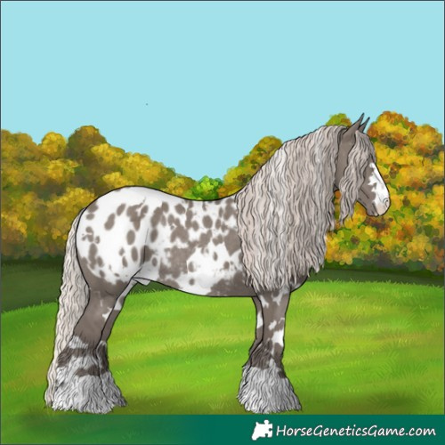 Horse Color:White Spotted Silver Grullo Blanket Rabicano