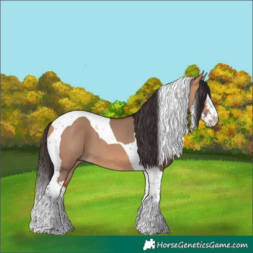 Horse Color:Bay Dun Splash Tobiano 