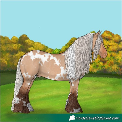 Horse Color:White Spotted Silver Bay Dun Varnish Rabicano 