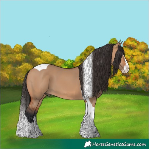 Horse Color:Bay Dun Splash Tobiano 