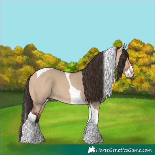 Horse Color:Bay Dun Splash Tobiano 
