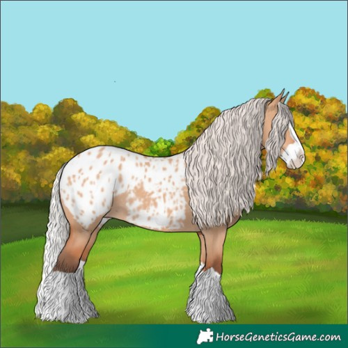 Horse Color:Silver Bay Dun Splash Blanket Rabicano 