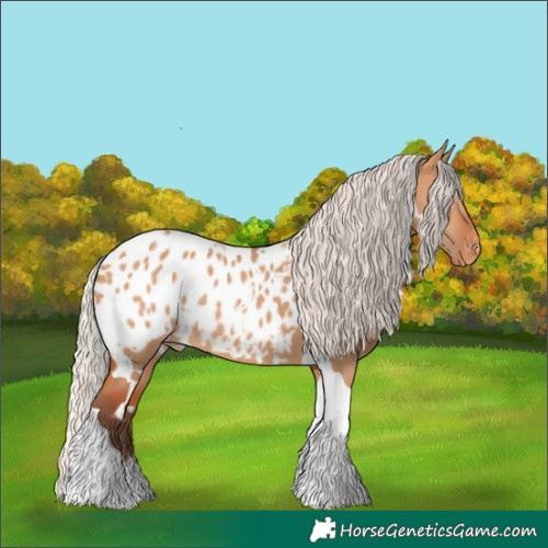 Horse Color:White Spotted Silver Bay Dun Tobiano Appaloosa Rabicano 
