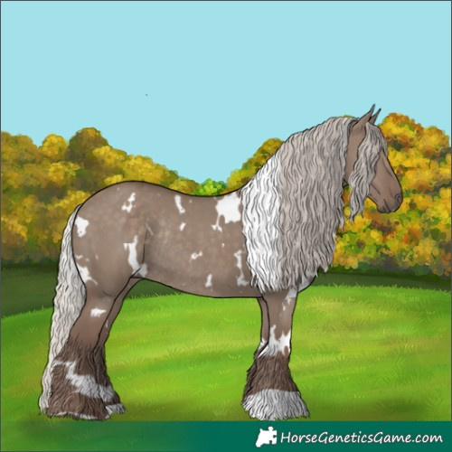Horse Color:White Spotted Silver Grullo Rabicano 