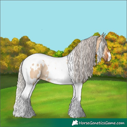 Horse Color:White Spotted Silver Bay Dun Tobiano Rabicano