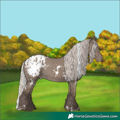 Horse Color:White Spotted Silver Grullo Blanket Rabicano