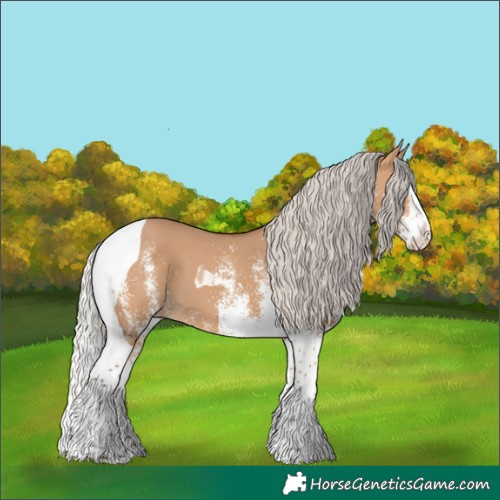 Horse Color:White Spotted Silver Bay Dun Splash Tobiano 