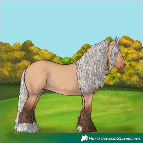 Horse Color:Silver Bay Dun Rabicano 