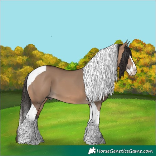 Horse Color:Bay Dun Splash Tobiano 