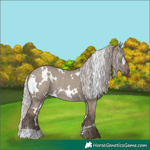 Horse Color:White Spotted Silver Grullo Rabicano