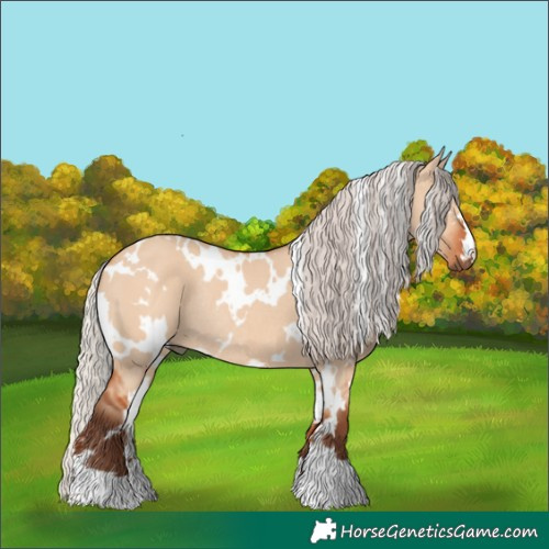 Horse Color:White Spotted Silver Bay Dun Rabicano