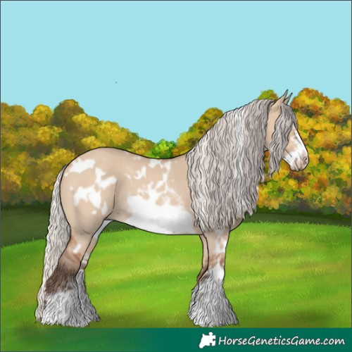 Horse Color:White Spotted Silver Bay Dun Sabino Frame Rabicano 