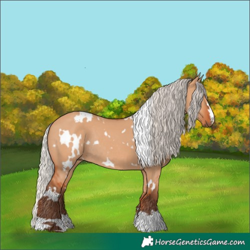 Horse Color:White Spotted Silver Bay Dun Rabicano