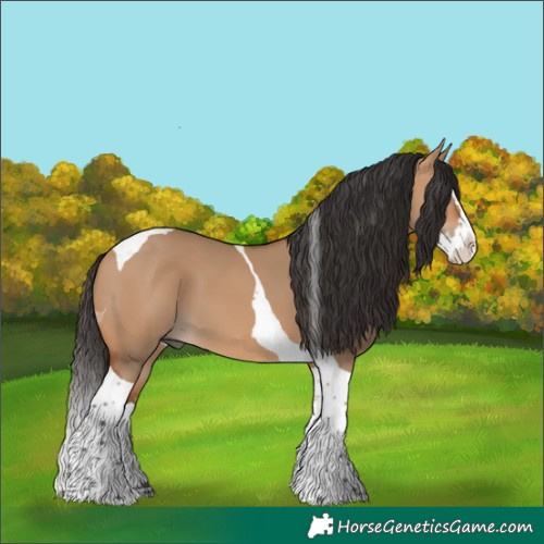 Horse Color:Bay Dun Splash Tobiano