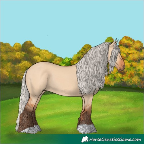 Horse Color:Silver Bay Dun Rabicano
