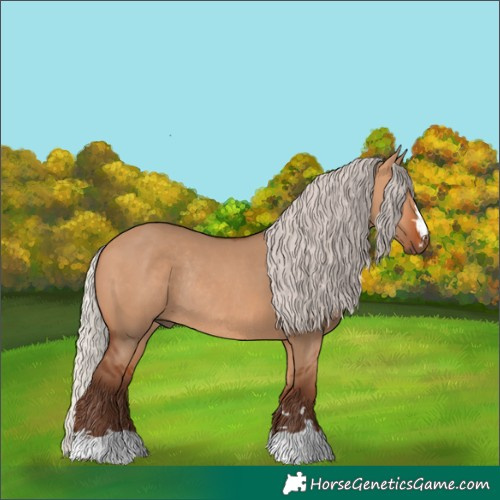 Horse Color:Silver Bay Dun Rabicano 
