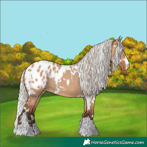 Horse Color:White Spotted Silver Bay Dun Appaloosa Rabicano