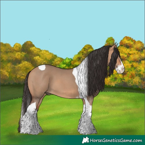 Horse Color:Bay Dun Sabino Splash Tobiano 