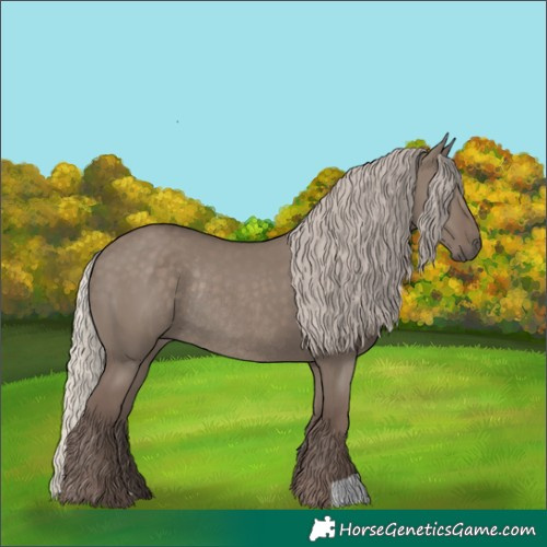 Horse Color:Silver Grullo Rabicano 