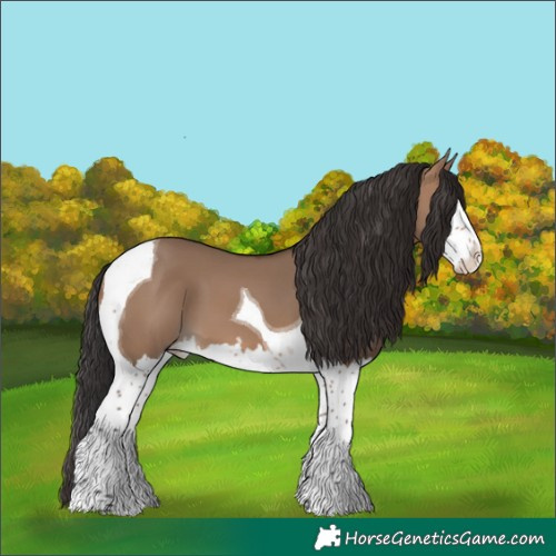 Horse Color:Brown Dun Splash Tobiano