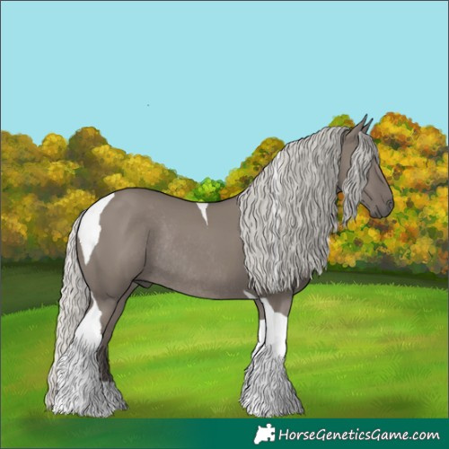 Horse Color:Silver Smoky Grullo Tobiano Rabicano 