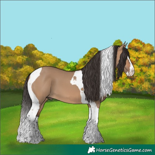 Horse Color:Bay Dun Splash Tobiano