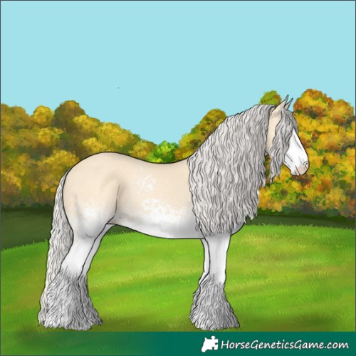 Horse Color:White Spotted Silver Buckskin Dun Rabicano 
