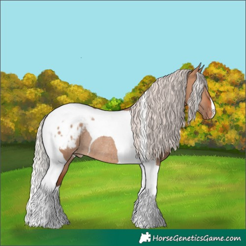Horse Color:Silver Brown Dun Tobiano Appaloosa Rabicano 