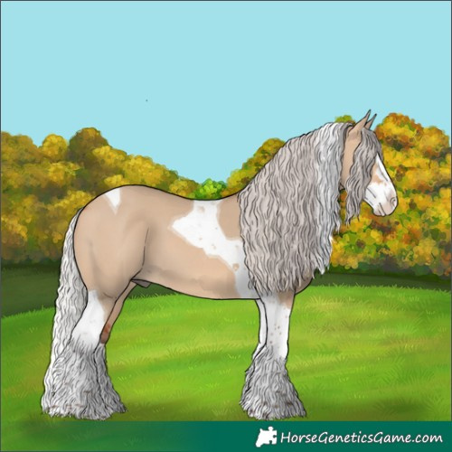 Horse Color:Silver Bay Dun Splash Tobiano