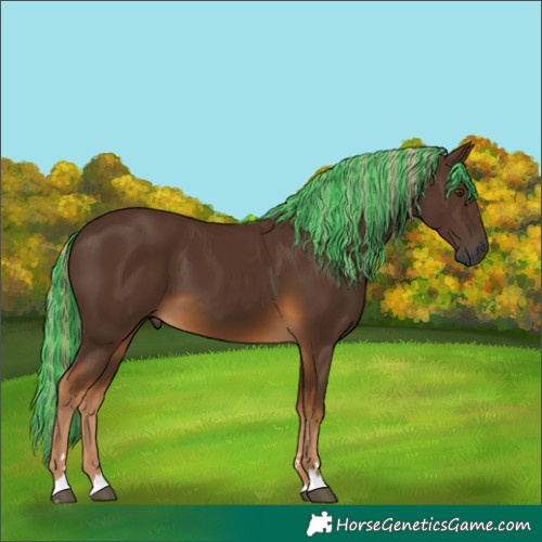 Horse Color:Gray Painted Chocolate Palomino