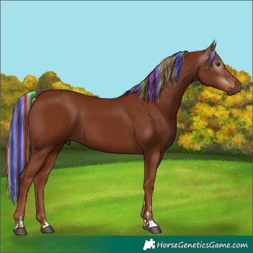 Horse Color:Gray Painted Chestnut