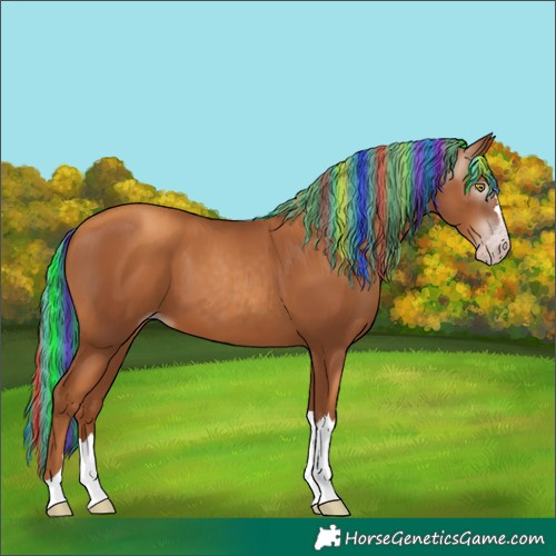 Horse Color:Gray Painted Gold Champagne