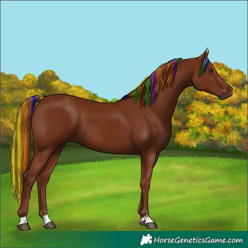 Horse Color:Gray Painted Chestnut
