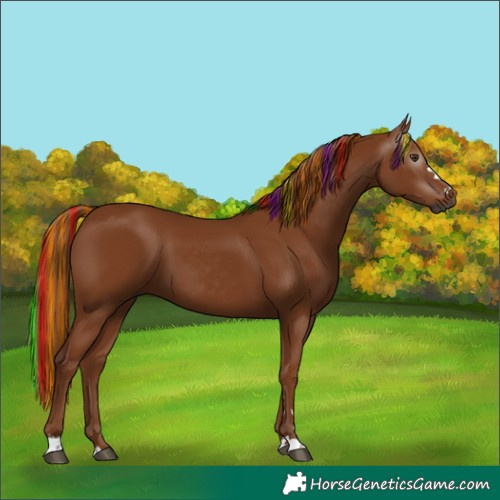 Horse Color:Gray Painted Chestnut 