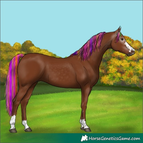 Horse Color:Gray Painted Chestnut
